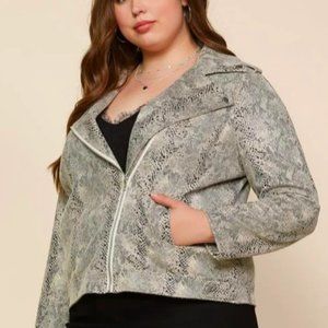 Python Moto Jacket